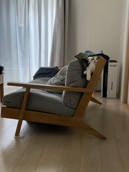 もすのプロフィール画像