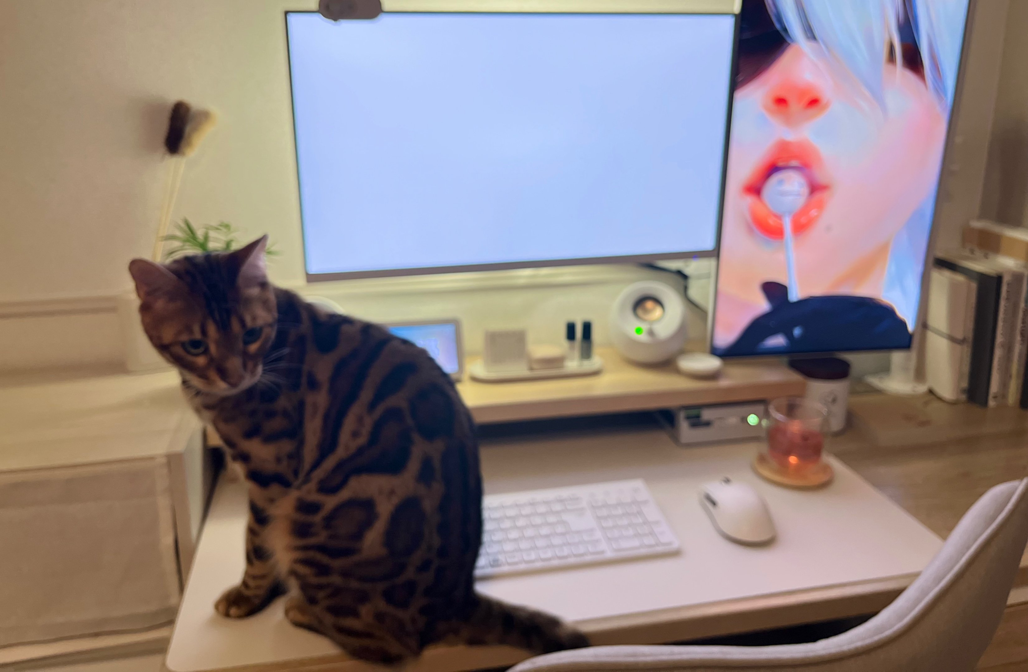 ヘッダー画像
